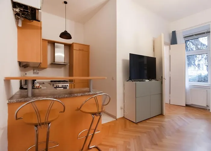 Apartment Zentrale Ruhelage Im Typischen Wiener Altbau